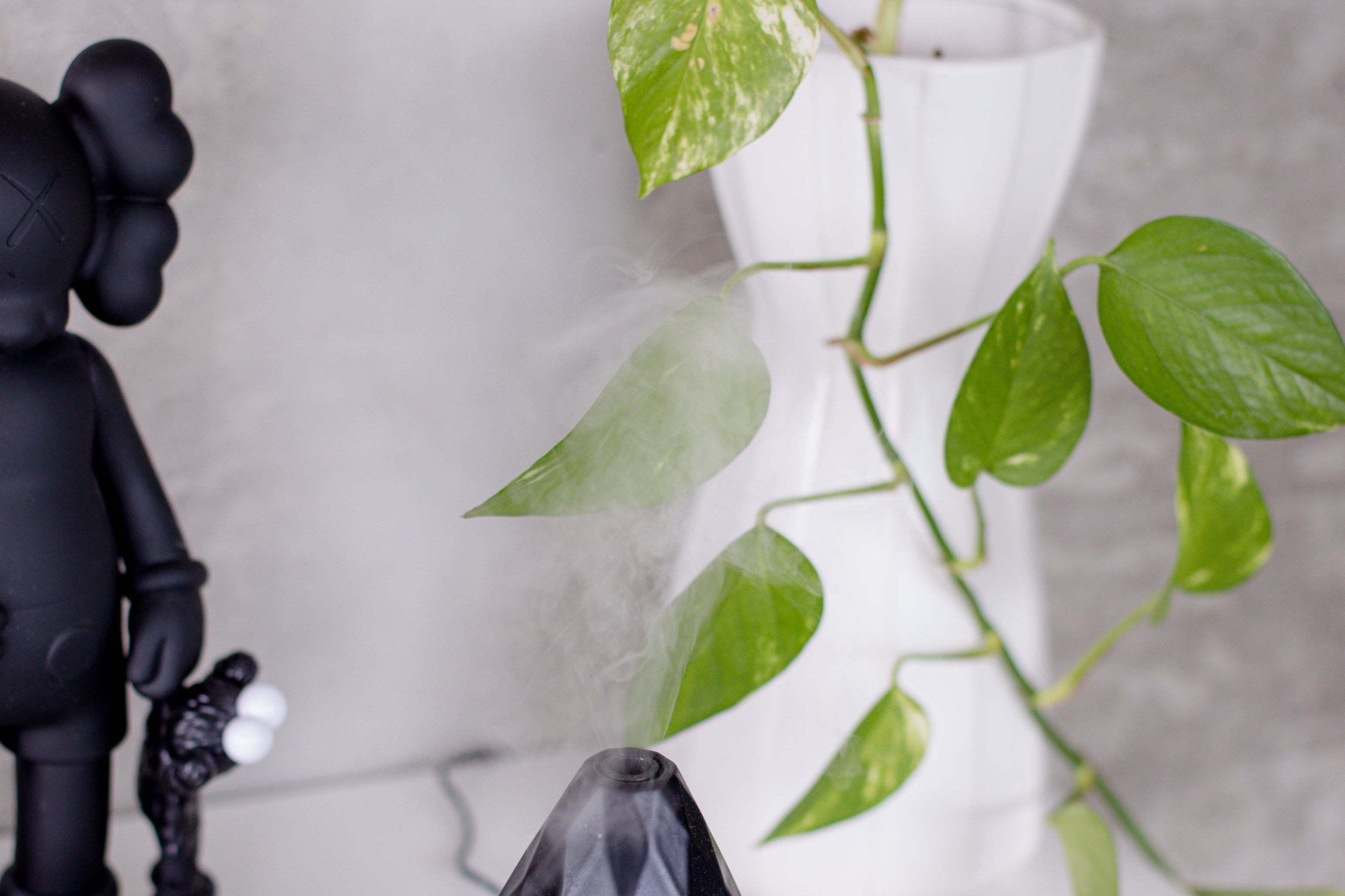Diffusers & Oils