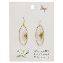 Load image into Gallery viewer, Delicate Daisy Dried Flower Earrings