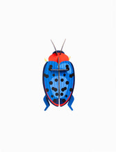 Load image into Gallery viewer, Fungus Beetle