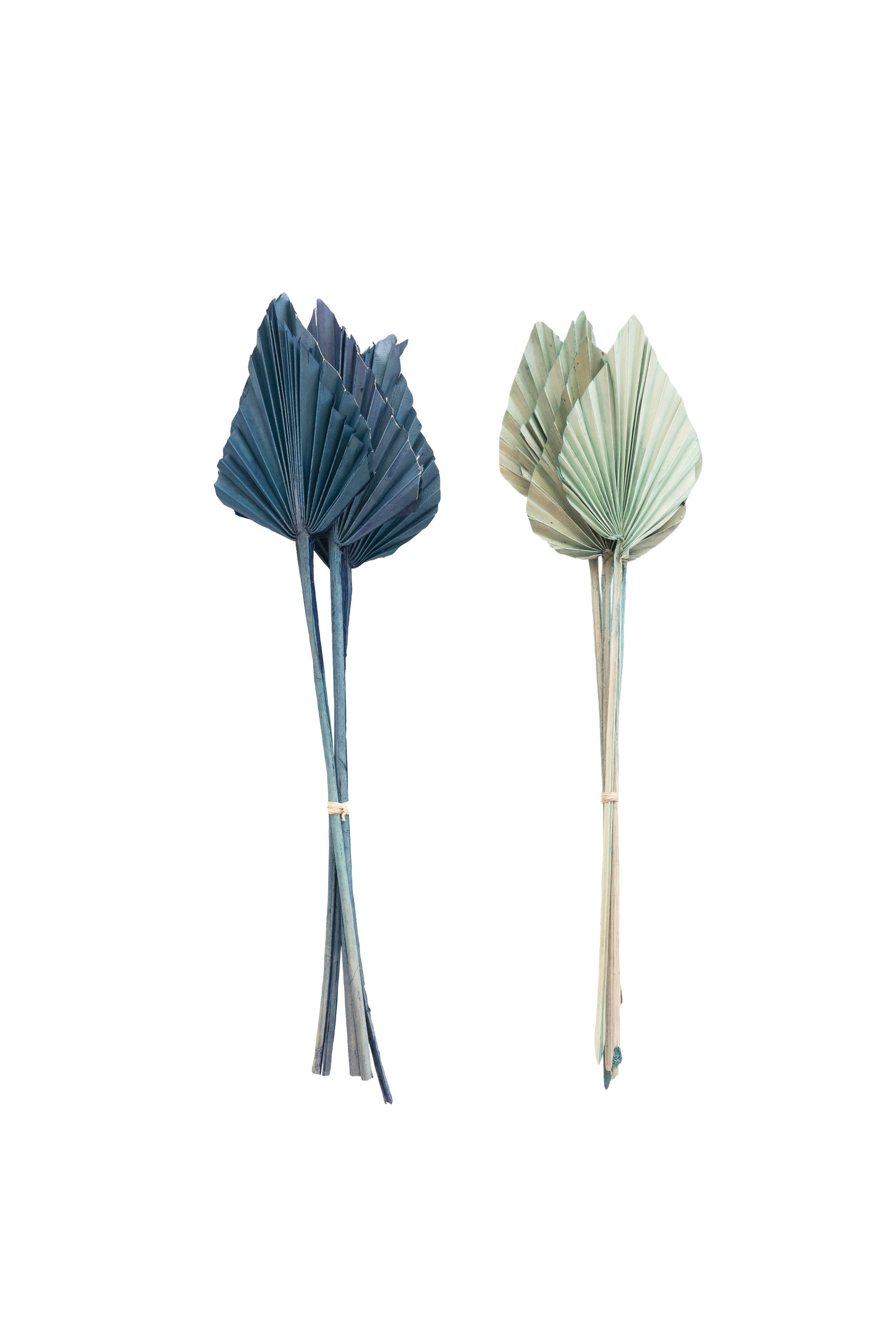 Dried Natural Spear Cut Palm Bunch, 2 Colors