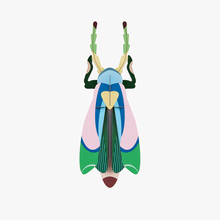 Load image into Gallery viewer, Sakura Beetle