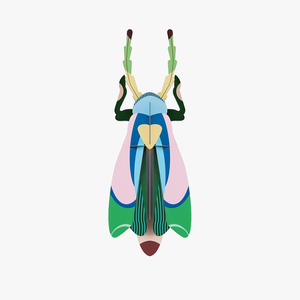 Sakura Beetle