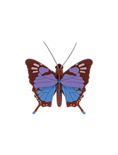 Load image into Gallery viewer, Crysalus Butterfly