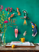 Load image into Gallery viewer, Gili Paradise Bird