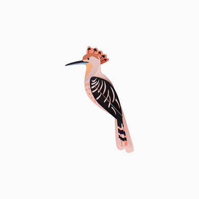 Hoopoe