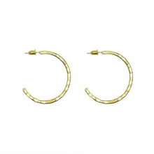 Load image into Gallery viewer, Textured Twig Hoops - Gold