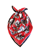 Load image into Gallery viewer, Red Sic &#39;Em Gameday Scarf