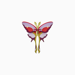 Lilac Comet Butterfly