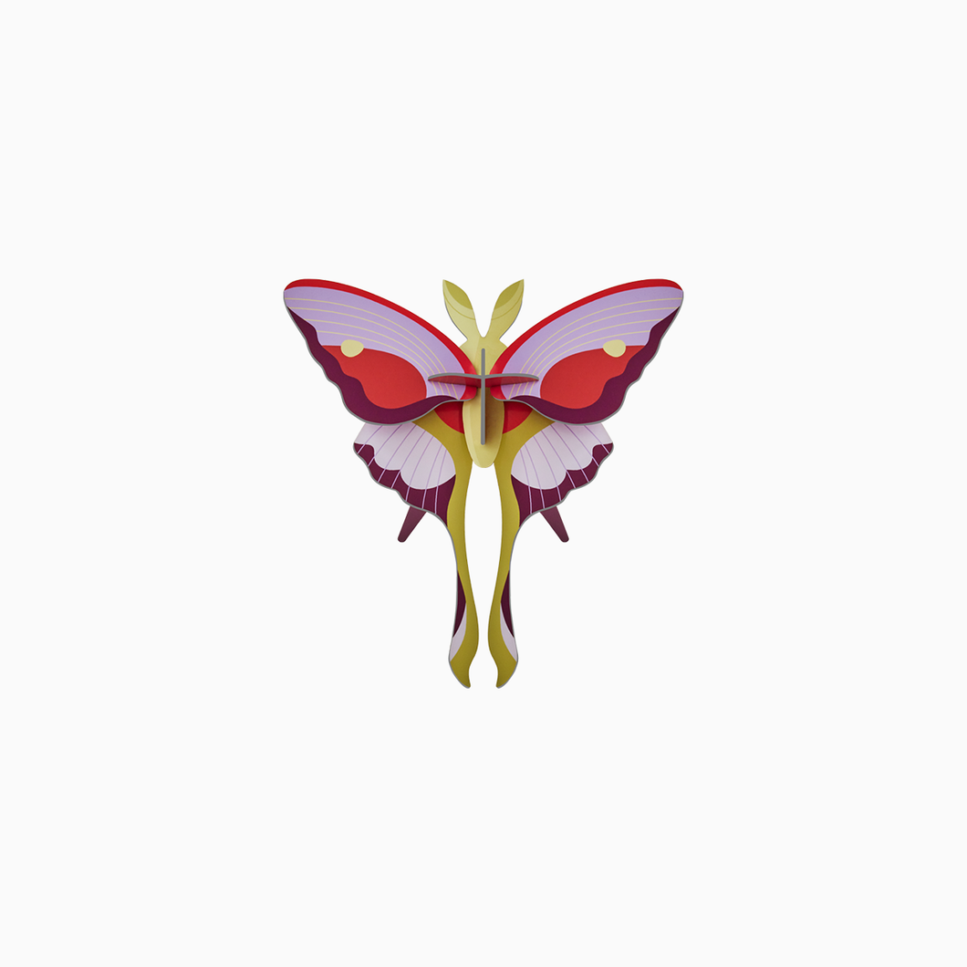 Lilac Comet Butterfly