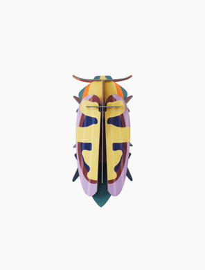Mango Flower Beetle