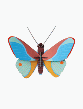 Load image into Gallery viewer, Claudina Butterfly