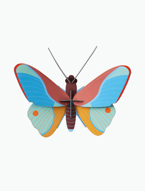 Claudina Butterfly