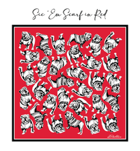 Load image into Gallery viewer, Red Sic &#39;Em Gameday Scarf