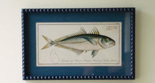 Load image into Gallery viewer, Navy Bubble Framed Fish Print