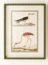 Load image into Gallery viewer, Green Bubble Framed Bird Print