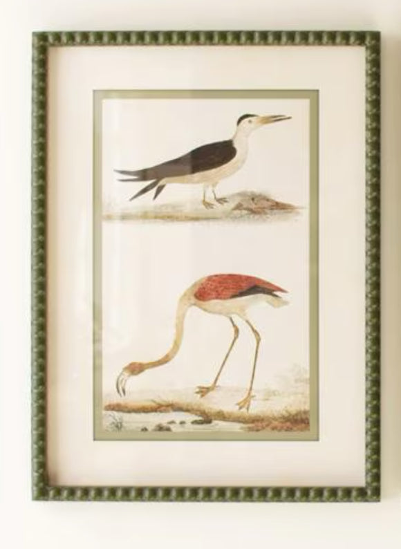Green Bubble Framed Bird Print