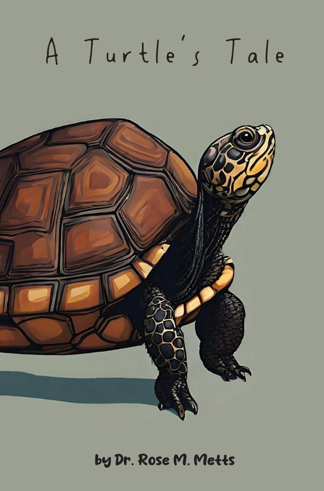 A Turtle’s Tale