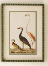 Load image into Gallery viewer, Green Bubble Framed Bird Print