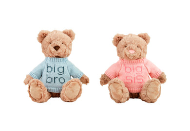 Big Sibling Bear