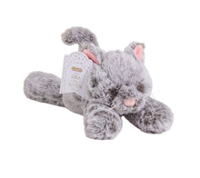 Load image into Gallery viewer, Puppy &amp; Kitten Plush Pals