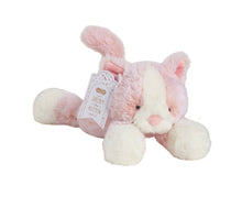 Load image into Gallery viewer, Puppy &amp; Kitten Plush Pals