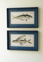 Load image into Gallery viewer, Navy Bubble Framed Fish Print