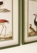 Load image into Gallery viewer, Green Bubble Framed Bird Print