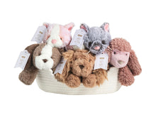Load image into Gallery viewer, Puppy &amp; Kitten Plush Pals