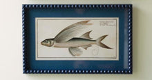 Load image into Gallery viewer, Navy Bubble Framed Fish Print