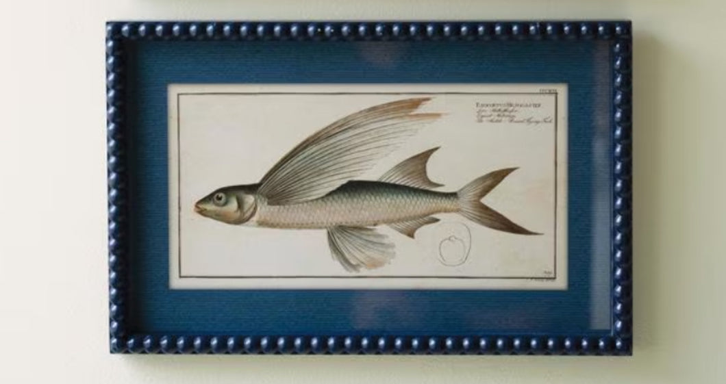 Navy Bubble Framed Fish Print