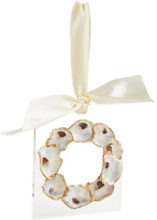Load image into Gallery viewer, Acrylic Oyster Ornament