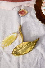 Load image into Gallery viewer, The Stevie Fish Citrus Juicer