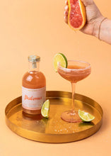 Load image into Gallery viewer, Paloma Mixer