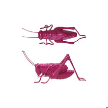 Load image into Gallery viewer, Pink Resin Cricket