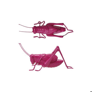 Pink Resin Cricket