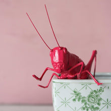 Load image into Gallery viewer, Pink Resin Cricket