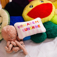 Load image into Gallery viewer, You Are My Sunshine Mini Needlepoint Pillow