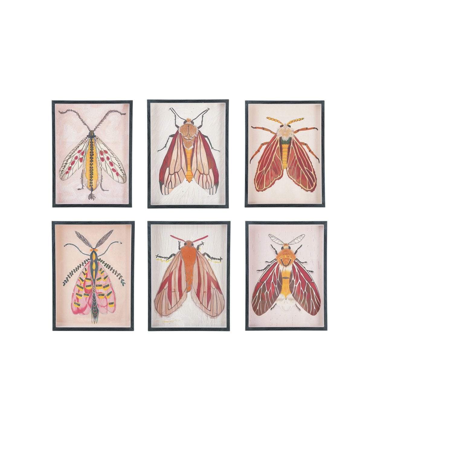 MDF Framed Acrylic Wall Decor with Moth, 6 Styles