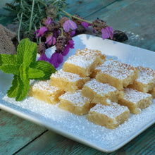 Load image into Gallery viewer, Key Lime Squares Baking Mix