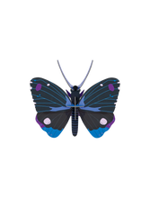 Load image into Gallery viewer, Blue Diadem Butterfly