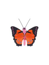 Load image into Gallery viewer, Large Fox Butterfly