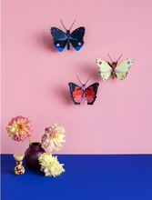 Load image into Gallery viewer, Blue Diadem Butterfly
