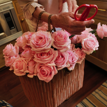 Load image into Gallery viewer, Maggie's Picnic Medium Tote