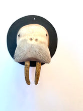 Load image into Gallery viewer, Walrus Mount