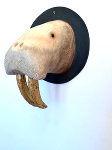 Walrus Mount